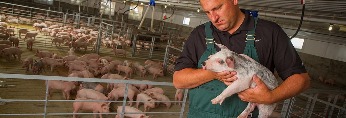 Dr. Barry Kerkaert - Veterinary Expertise
